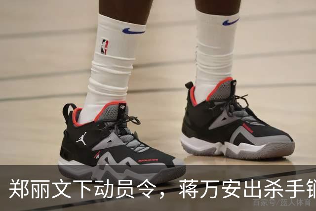 郑丽文下动员令，蒋万安出杀手锏，卢秀燕设防线，朱立伦挺赵少康