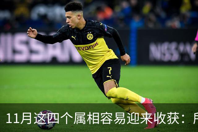 11月这四个属相容易迎来收获：所有惊喜，都是长期默默耕耘的结果
